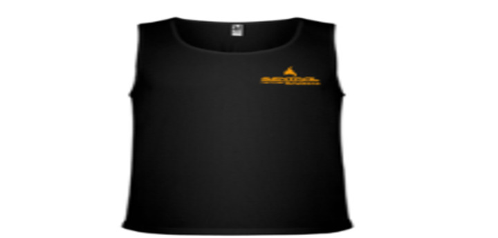 Camiseta Interlagos Sentral